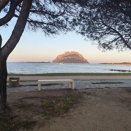 Apartment - A 100 Mt Dal Mare, Tavolara Porto San Paolo (Sardinia)